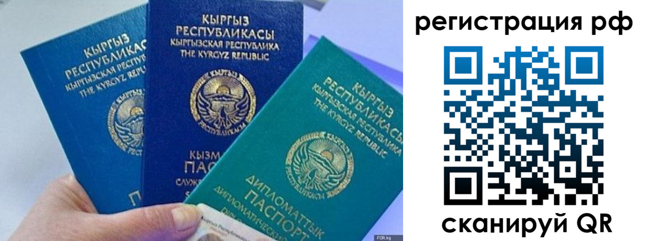 прописка для школы в Армавире